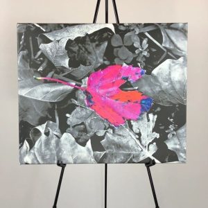 Artistic photograph of a red leaf by Donovan Jenifer.