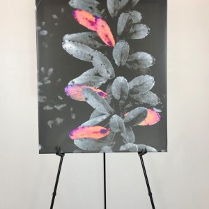 Artistic photograph of leaves by Donovan Jenifer.