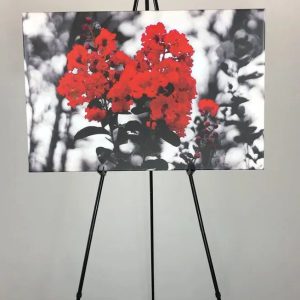 Artistic photograph of red flowers by Donovan Jenifer