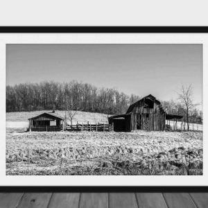 Framed black and white photograph of two old wooden barns in a rural field, with leafless trees in the background, displayed against a white wall on a wood floor.
